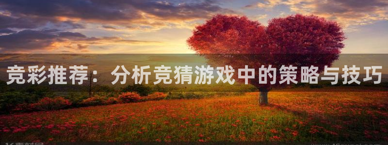 长征娱乐注册：竞彩推荐：分析竞猜游戏中的策略与技巧