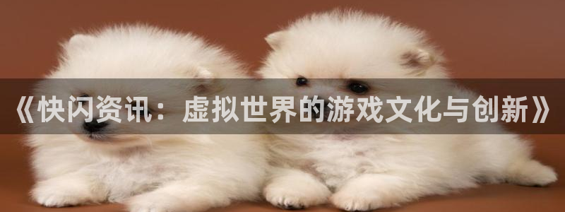 长征娱乐4招商：《快闪资讯：虚拟世界的游戏文化与创新》
