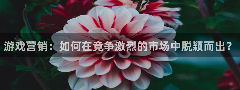 长征娱乐主管：游戏营销：如何在竞争激烈的市场中脱颖而出？