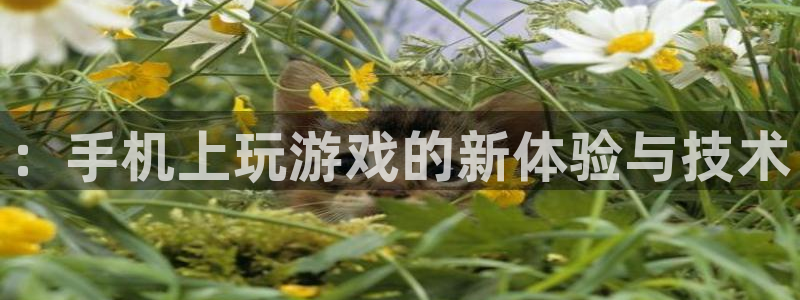 长征娱乐app下载|下载地址：：手机上玩游戏的新体验与技术