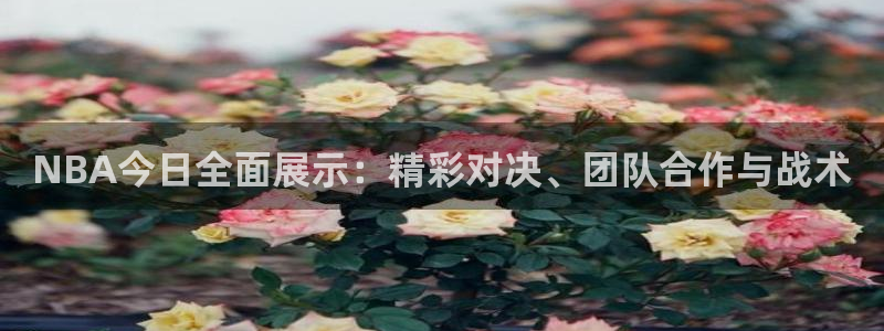 88看球直播入口