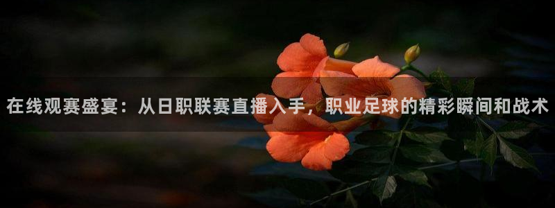 88看球体育：在线观赛盛宴：从日职联赛直播入手，职业足球的精彩瞬间和战术