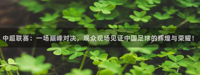 88看球nba线上直播：中超联赛：一场巅峰对决，观众现场见证中国足球的辉煌与荣耀！