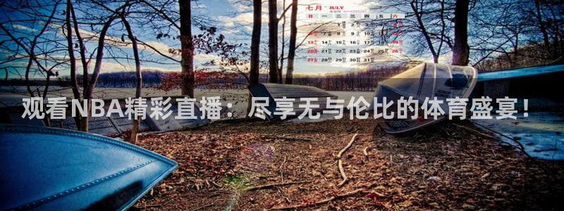 nba直播吧88看球：观看NBA精彩直播：尽享无与伦比的体育盛宴！