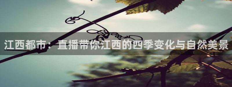 88看球nba直播：江西都市：直播带你江西的四季变化与自然美景