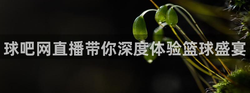88看球nba直播：球吧网直播带你深度体验篮球盛宴